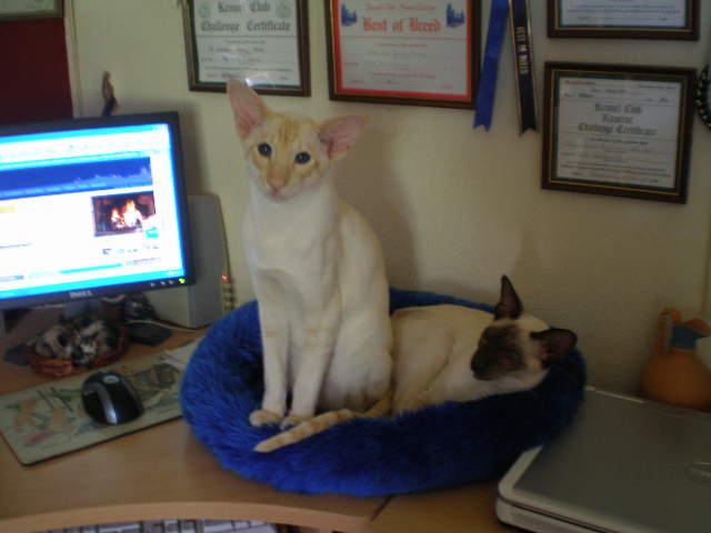 Mika & Mit
